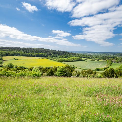 Surrey Hills England